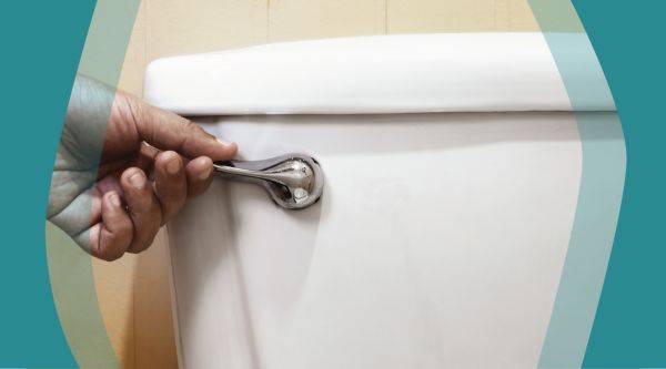What Your Urine is Trying to Tell You